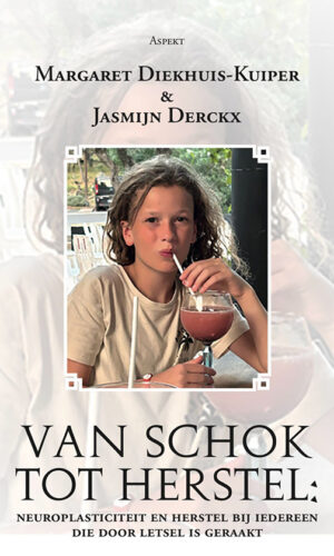 Van Schok tot Herstel